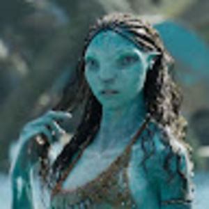 Meet your Posher, Wrenny